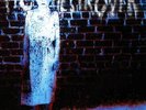 PIG DESTROYER - Book Burner 12