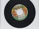 FULFILMENT OF PROPHESY/WORDS OF FIRE  -  BRIGHT WYNTER ( REGGAE  7