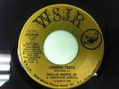 WILLIE SMITH JR. & SOMETHING SPECIAL Common Touch 45 on WSJR RARE PRIVATE FUNK