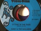 SWEET SOUL / NORTHERN .....SUNNY & THE SUNLINERS (LATIN SOUL)