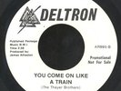 DICK RABBIT '...Like A Train' unplayed Michigan Heavy Psych DJ 45 HEAR