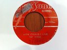 THE SHARKS / JEFF&MARCIA (How could I live / Words)  ORG.JAM.PRESS killer R/stea