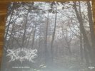 XASTHUR NORTT SPLIT 12