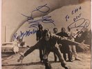SIR DOUG & TEXAS TORNADOS: Texas Rock For Country Rollers LP (Autographed on te