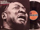 MUDDY WATERS McKINLEY MORGANFIELD A.K.A. MUDDY WATERS USA 1971 CHESS 2 LP