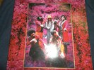 Captain Beefheart Grow Fins Vol 3 double LP Table Of The Elements
