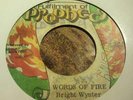 FULFILMENT OF PROPHECY Words Of Fire BRIGHT WYNTER EX LOOK 