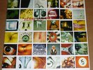 PEARL JAM No Code LP EPIC 1996 gatefold+inner+inserts+original MOTHER LOVE BONE