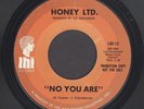 Psych 45:  HONEY LTD.  No You Are //  LEE HAZLEWOOD PRODUCTION GIRL GROUP  hear