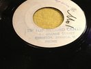DELROY WILSON.JA BLANK.YOU'RE NUMBER ONE/I'VE TRIED MY BEST