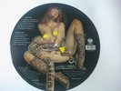 Metallica Black Album Picture Disc promo vinyl LP of 500