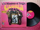 SHADOWS OF KNIGHT   Gloria (Oh Yeah)   garage/fuzz orig SHRINK mono DUNWICH LP