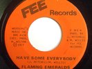 70's SOUL FUNK 45-FLAMING EMERALDS-HAVE SOME EVERYBODY