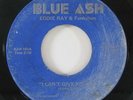 70s Soul 45 EDDIE RAY & FUNKSHUN I Can't Give You Up / Say It Again on Blue Ash