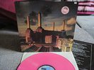 Pink Floyd - Animals - Pink Vinyl - rar ???