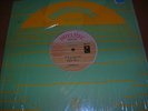 Killer DIGI   WHITE MICE   IT'S A SHAME /TRY THING 1987 INTELITEC U.S.12