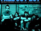 NEW Fall Out Boy Take This To Your Grave Coke Bottle Clear Vinyl LP SEALED
