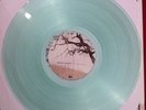 Chuck Ragan Feast or Famine 1st Press Clear Hot Water Music Gaslight Anthem