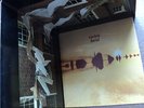 KATE BUSH 'AERIAL' 2005 EMI DOUBLE 180gm VINYL ALBUM - Exc. Cond.