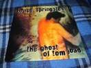 Bruce Springsteen