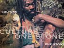 CULTURE One Stone ORIG 1996 GORGON RECORDS JAMAICA PRS LP REGGAE - RARE ON VINYL