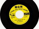 Northern Sweet Soul 45 The Charades I Don't on MGM VG++ HEAR