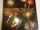 POLAR PRAXIS ( MUSIC FOR FIRE WORKS ) 12