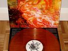 MORBID ANGEL - BLESSED ARE THE SICK - ORANGE VINYL LP RECORD - 200 ONLY MADE