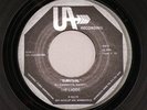 THE LADDS SURVIVAL / I FOUND THE GIRL MN WI GARAGE KILLER PUNK FUZZ UA RARE HEAR