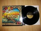 AMERICAN MUSIC CLUB - EVERCLEAR Vinyl LP