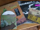 Dinosaur Jr 'Beyond' and 'Farm' limited edition LPs + bonus 7