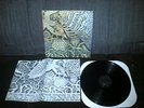 Circle takes the square As the roots undo LP 12