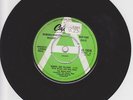 BEACH BOYS - HEROES AND VILLAINS / YOU'RE WELCOME - UK CAPITOL DEMO