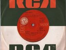 THE SWEET 45 SANTA MONICA SUNSHINE / JEANIE RARE ARGENTINA PROMO 33 RPM 7