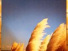 Jimmy Eat World Static Prevails Orig US Vinyl LP Plus Promo 7