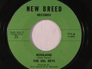 rare Soul 45 DEL REYS rosiland NEW BREED Listen