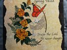 SPRING WIND: PRAISE THE LORD HE NEVER CHANGES (SS PRIVATE XIAN FOLK EAST WA LP)