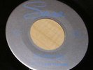 PRIVATE 1965 WI Garage Rock 45 - ATTILA & THE HUNS 