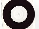 PROPAGANDHI How To Clean 7