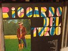 LP ITALIAN PROG RICCARDO DEL TURCO ELECTRECORD RARISSIMO