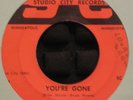 THE ACTION YOU'RE GONE / ODIN 45 MN GARAGE CANADIAN ?