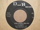 GENE MIDDLETON & SOLE SURVIVORS Stop Where You Are YOU Northern 45 on D&B 102