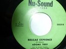 ADOMS TREO - REGGAE EXPRENCE / OLD TIME KAIO. Soul infused JA rarity