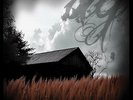 Andreas Gross - Grounds Of Ashes (Vinyl)
