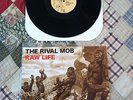 RIVAL MOB Lockin Out Step Forward Free Spirit Boston Strangler NYHC Cro Mags sXe