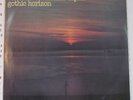 1972 GOTHIC HORIZON 