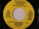 rare Rap Hip-Hop 45 DIVINE SOUNDS change SPECIFIC Hear
