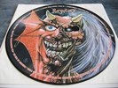 Iron Maiden - Maiden Japan-Purgatory - first ten years UK picture disc - EX