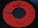 Dimensions   Surfside   Carram   Michigan garage / surf / Fenton 45 HEAR