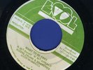 2012 ROOTS TRUNK & BRANCHES-WANT TO BE FREE-EVOL-1975- REGGAE 45 7